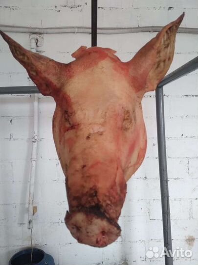 Свиные ножки,ушки и др