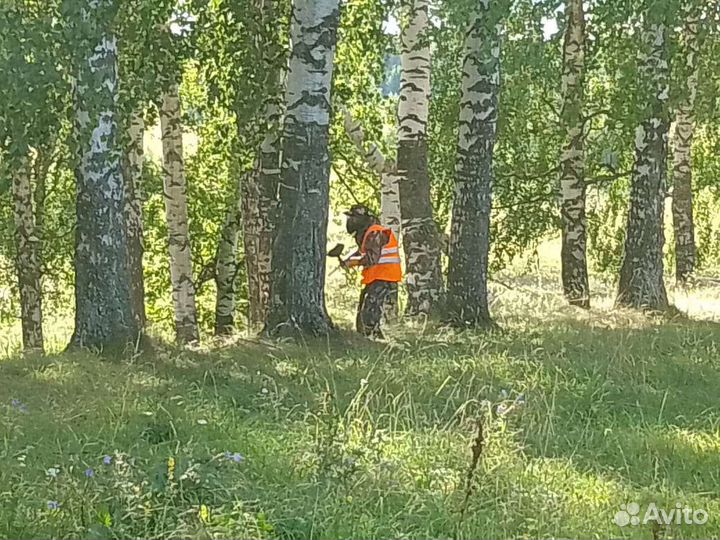 Лазертаг и Пейнтбол (в т.ч. выездной)