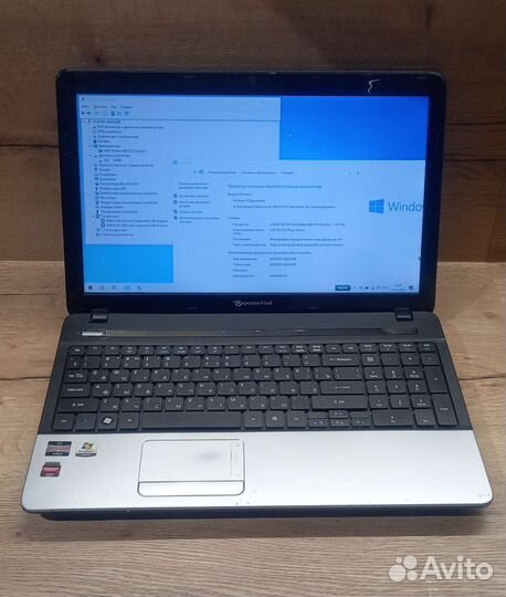 Packard Bell для работы и учебы