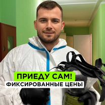 Уничтожение клопов. Дезинфекция от тараканов