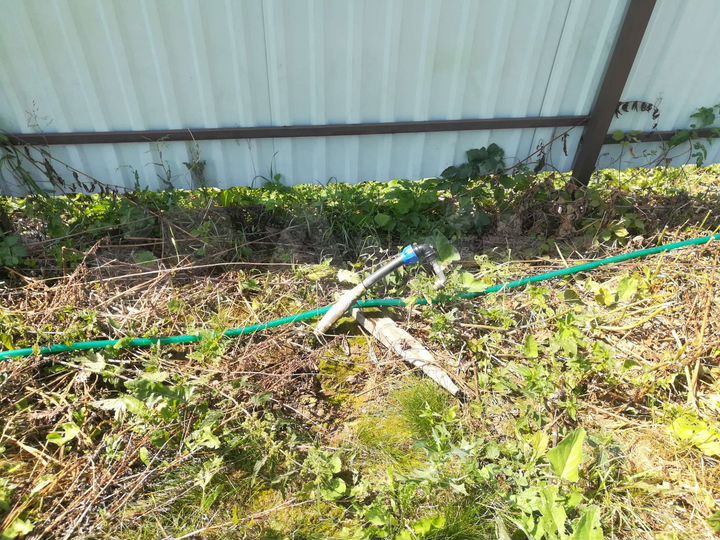 Участок 11,3 сот. (СНТ, ДНП)