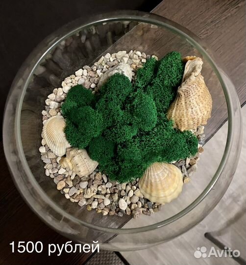 Флорариум с мхом