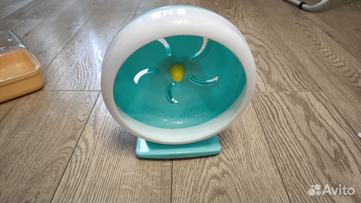 Хомячьи радости