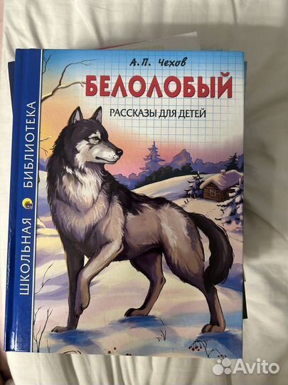 Книги для внеклассного чтения