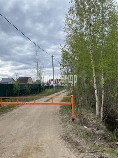 Участок 16 сот. (СНТ, ДНП)