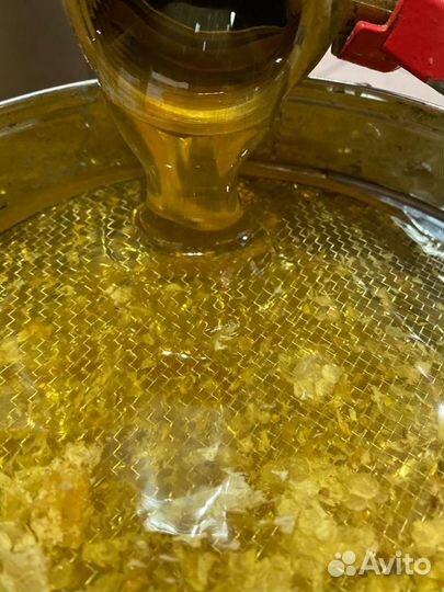 Мед луговой и гречишный урожай 2023 года