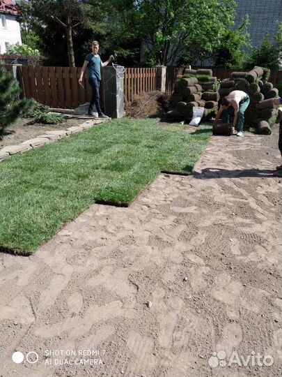 Рулонный Газон art/735