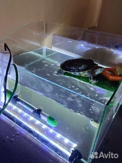 Аквариум