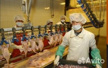 Рабочие РФ на мясоперераб. пр.-во вахта Пенз.обл