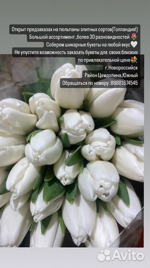 Тюльпаны к 8 марта