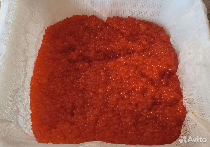 Красная икра горбуши/кеты