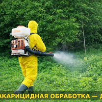 Дезинфекция / Дезинсекция, уничтожение тараканов, Апрелевка
