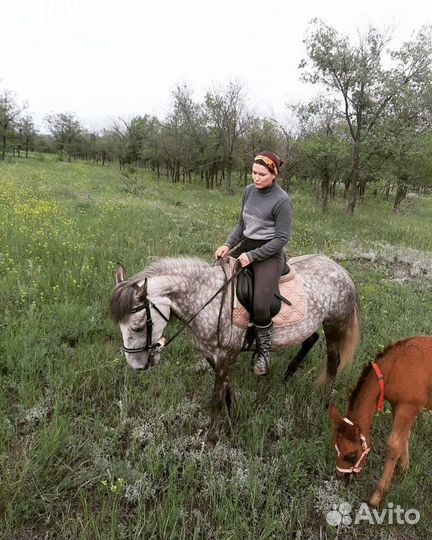 Конные прогулки, обучение верховой езде, фотосесси