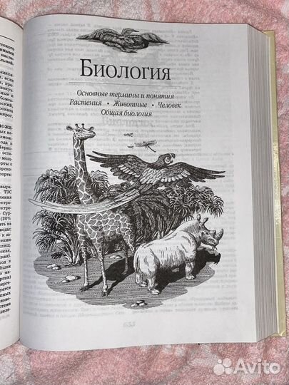 Книга большой справочник школьника