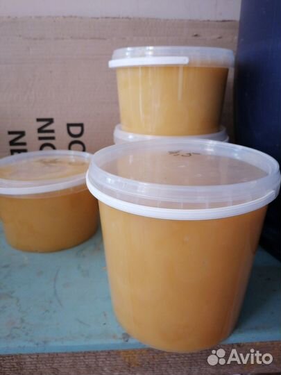 Мед Алтайский