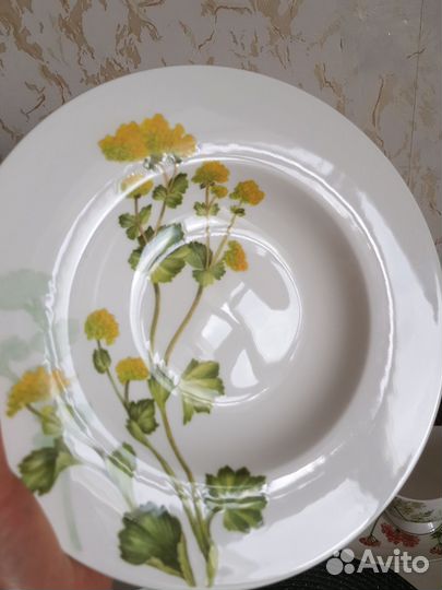 Althea nova villeroy