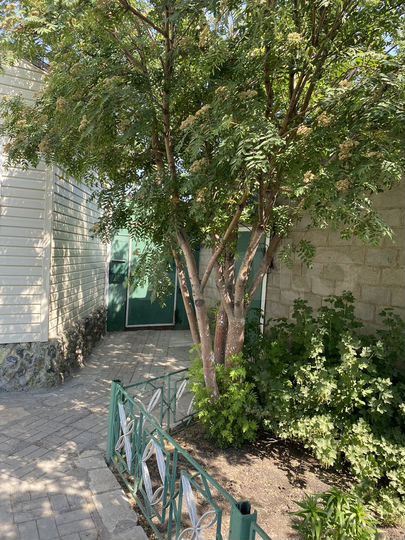 Дом 114 м² на участке 9 сот.