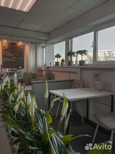 Продажа готового бизнеса