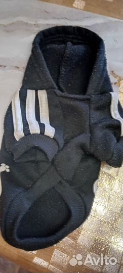 Одежда для щенков