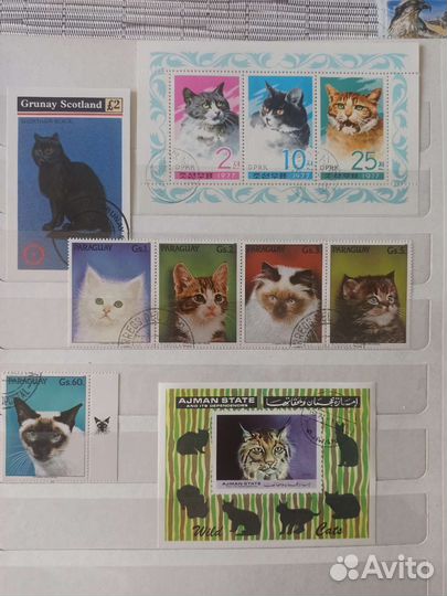 Марки зарубежные кошки фауна