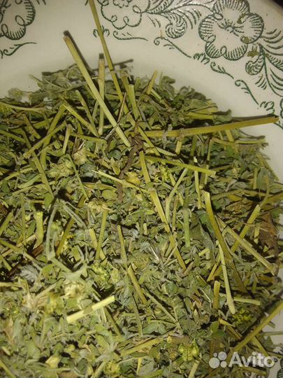 Якорцы стелющиеся резанные