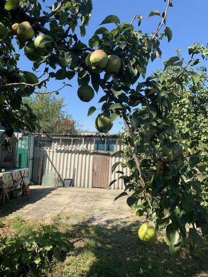 Дом 63,4 м² на участке 16 сот.