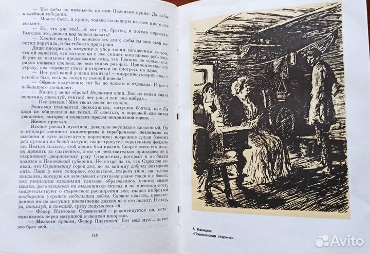 Салтыков-Щедрин Избранные сочинения в 2-х томах