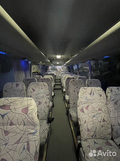 Аренда заказ микроавтобуса, Водитель, трансфер