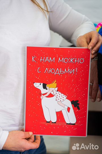 Спорт Дог Дрессировка собак в Астрахани