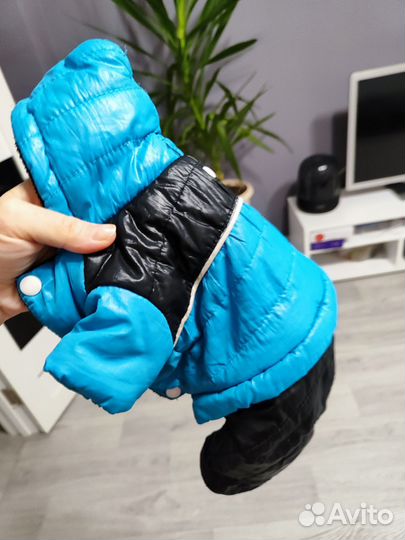 Комбинезон для собак мелких пород