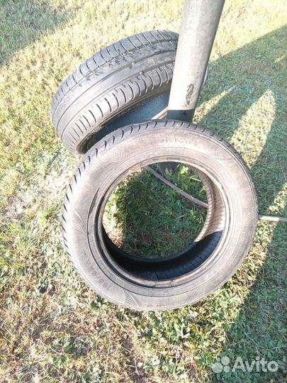 Nokian Tyres Nordman SX 185/65 R15