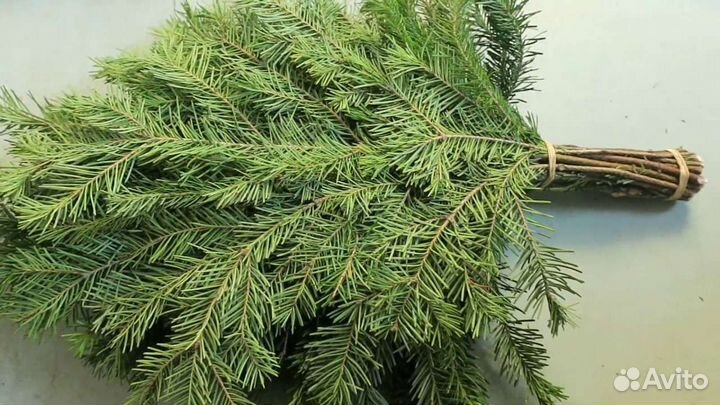 Свежие веники берёзы,пихты,можжевельника
