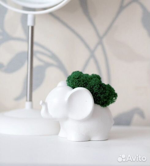 Кашпо «слоник» со стабилизированным мхом из гипса