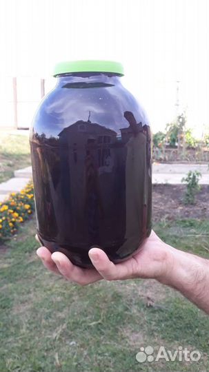 Мед оптом гречишный