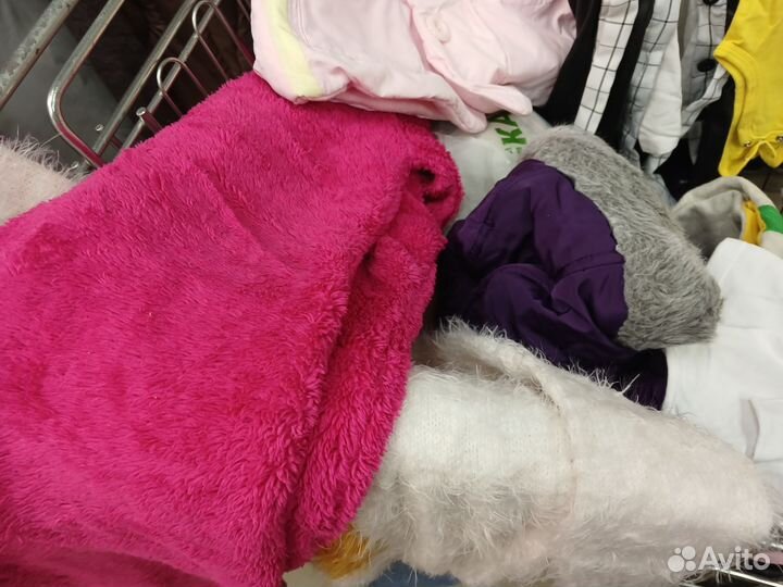 Отдам бесплатно