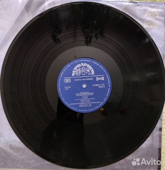 Frederic Chopin &Robert Shuman