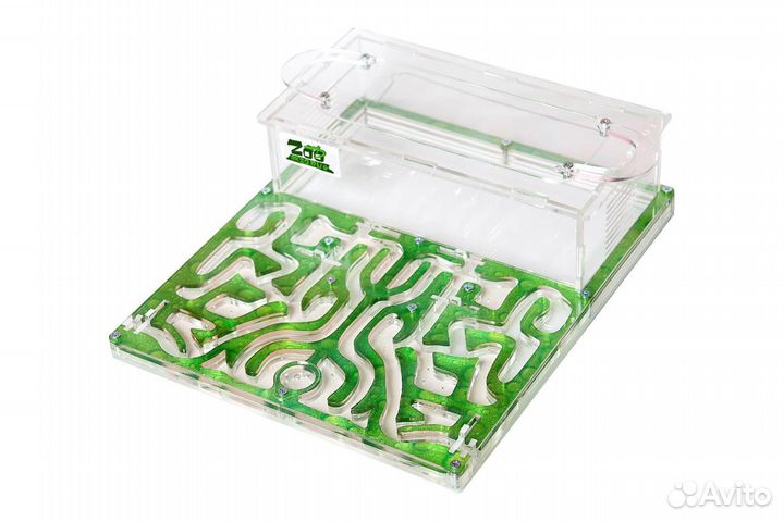 Муравьиные фермы (формикарии) муравьи В подарок