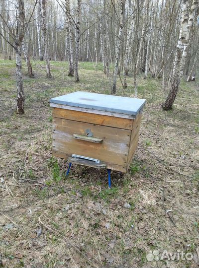 Улей для пчёл, подставка под ульи