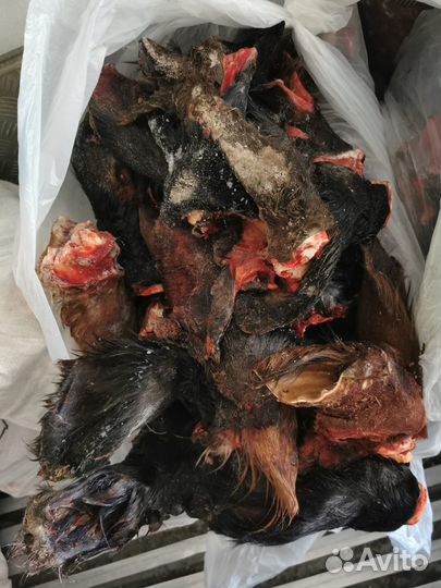 Уши говяжьи замороженные