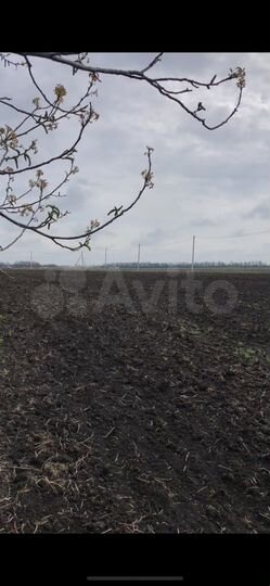 Участок 38 сот. (ИЖС)