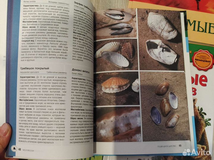 Серия книг Удивительный мир природы