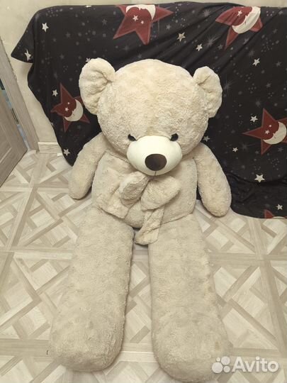 Длинный медведь (Буквально)