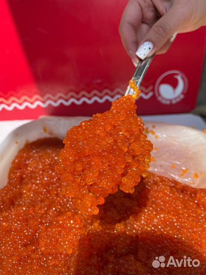 Красная икра горбуши