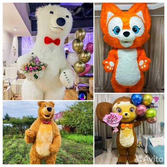 Экспресс поздравление аниматор