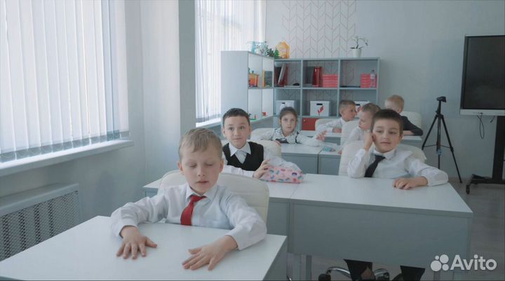 Готовый бизнес живые рисунки Защита экологии Океан