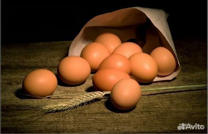 Яйца