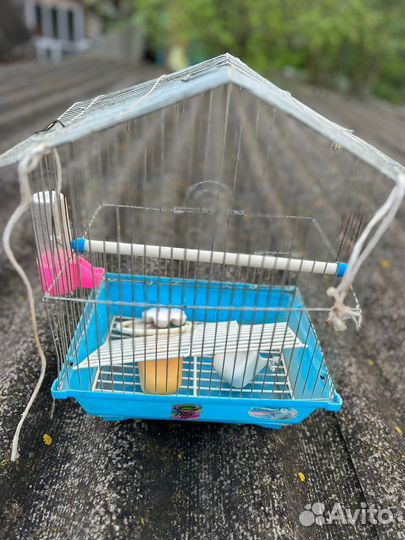 Клетки для попугая