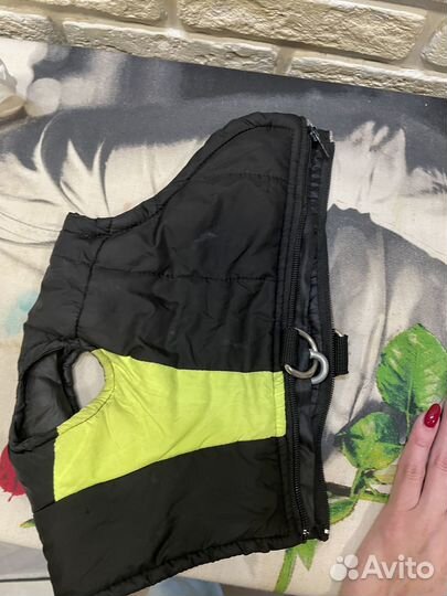 Продам одежду на небольшую собаку