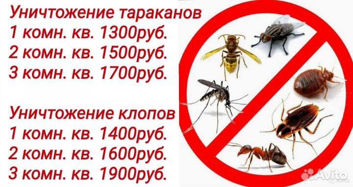 Уничтожение клопов травить тараканов обработка