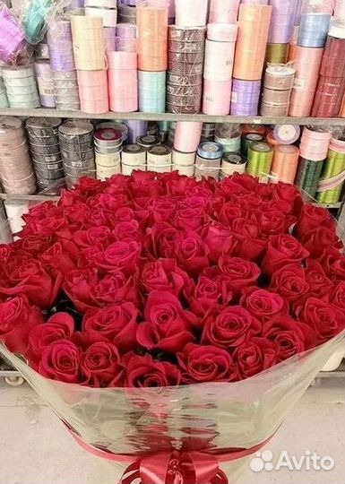 101 роза цветы букеты доставка 25 51 101 роза